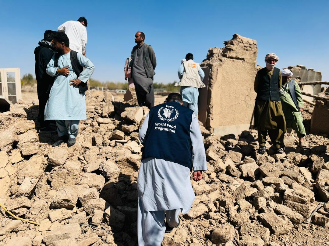 Herat Earthquake Shelter Support